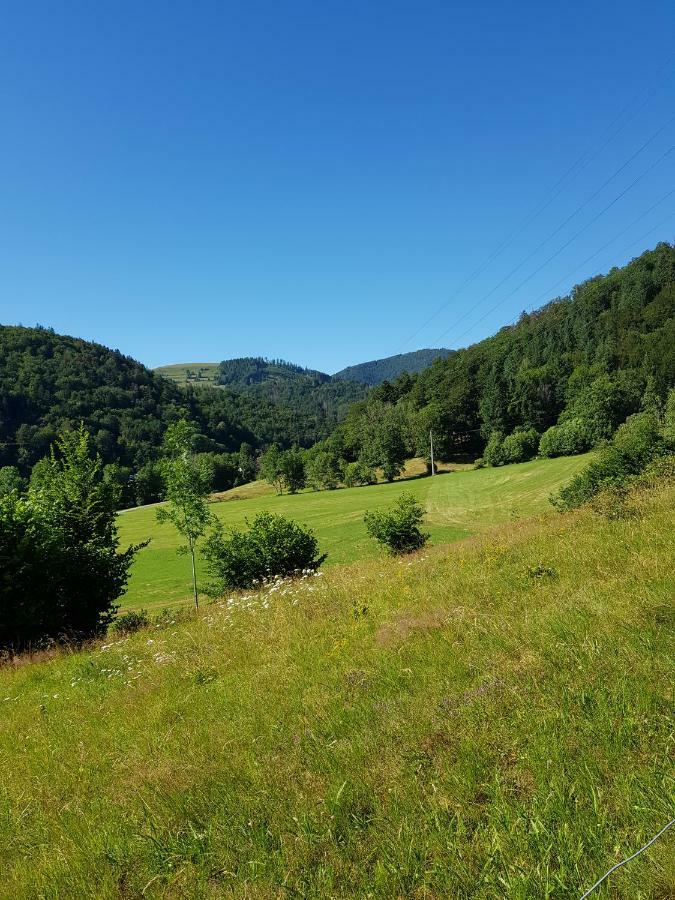 Wiesenblume Schönau im Schwarzwald Exterior foto