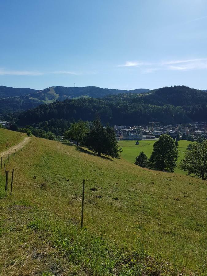 Wiesenblume Schönau im Schwarzwald Exterior foto